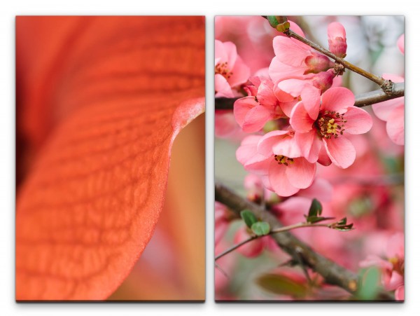 2 Bilder je 60x90cm Blüten Frühling Kirschzweig Kirschblüten Rosa Rot Makrofotografie
