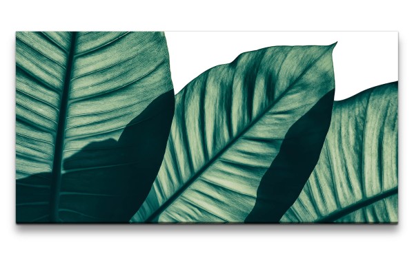Leinwandbild 120x60cm Grüne Blätter Dekorativ Pflanzen Kunstvoll Fotokunst
