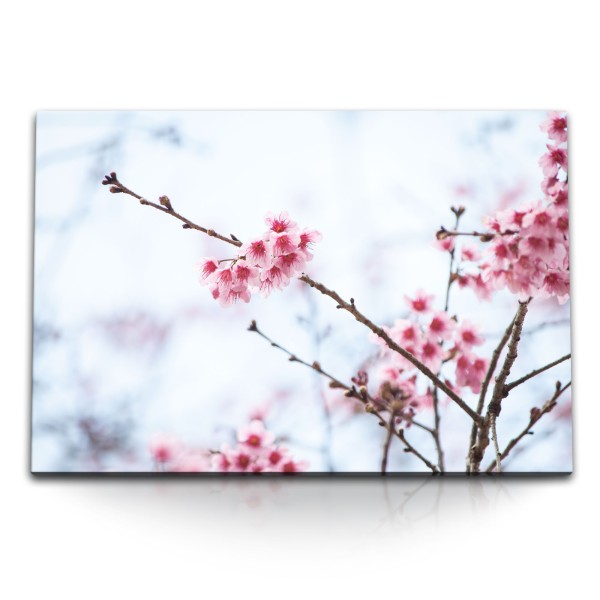 120x80cm Wandbild auf Leinwand Frühling Baumblüten Sonnenschein Baum Blüten