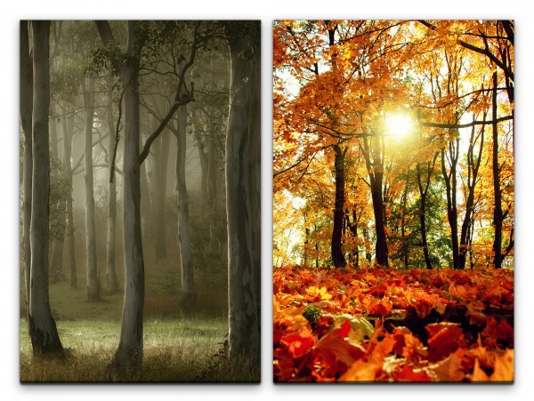 2 Bilder je 60x90cm Herbst Laub Wald Sonnenstrahlen warmes Licht Friedlich Entspannend