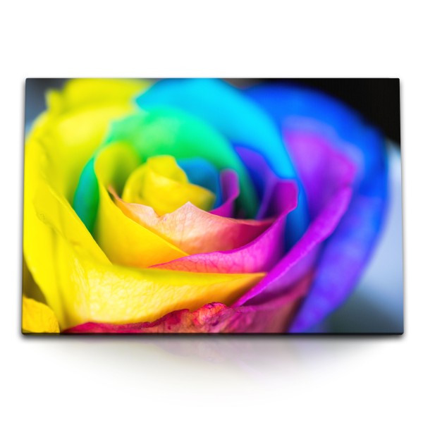 120x80cm Wandbild auf Leinwand Bunte Blume Blüte Farbenfroh Fotokunst Makro