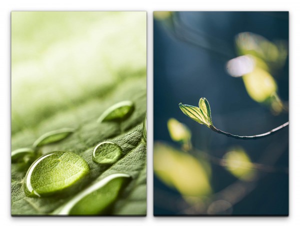 2 Bilder je 60x90cm Wassertropfen Blattgrün junges Blatt Frühling Frisch Dekorativ Makrofotografie