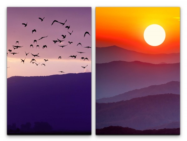 2 Bilder je 60x90cm Vogelschwarm Bergkette Berge Vögel Sonnenuntergang Fliegen Natur