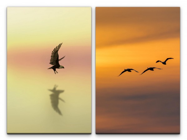 2 Bilder je 60x90cm Vögel Flug Freiheit Abenddämmerung Weißkopfseeadler Himmel Abendröte