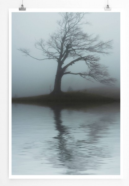 60x90cm Landschaftsfotografie Poster Einsamer Baum in Grau