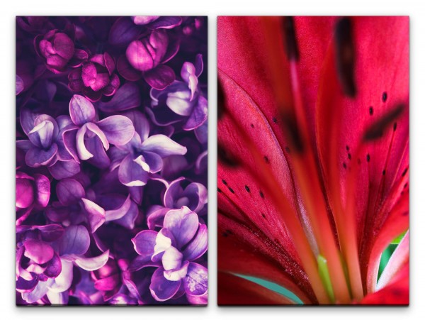 2 Bilder je 60x90cm Blumen Blüten Rot Violett Duftend Dekorativ Makrofotografie