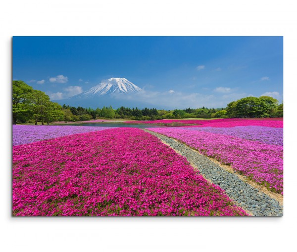 120x80cm Wandbild Vulkan Fuji Blumenwiesen Bäume