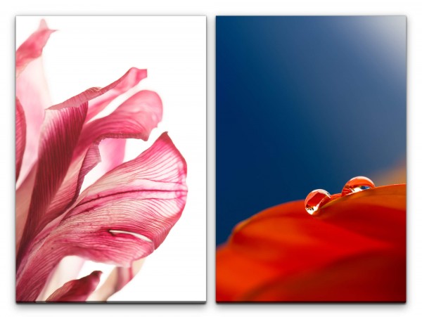 2 Bilder je 60x90cm Blumen Tropfen Harmonie Relax Rot Blau Makro