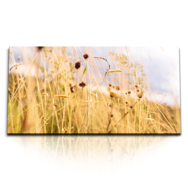 Kunstdruck Bilder 120x60cm Halme Weizen Feld Sommer Natur Sonnenschein