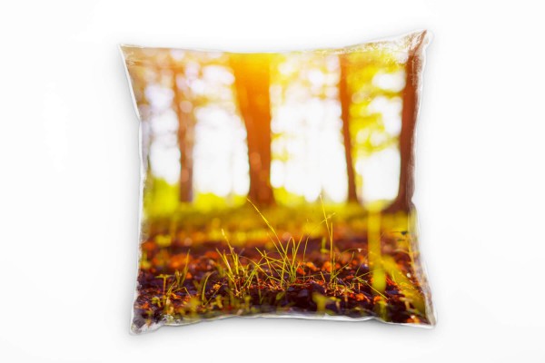 Natur, Sonnenschein, Wald, grün, orange Deko Kissen 40x40cm für Couch Sofa Lounge Zierkissen