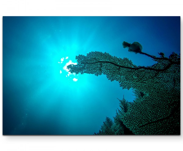Unterwasser  Sonnenstrahlen - Leinwandbild