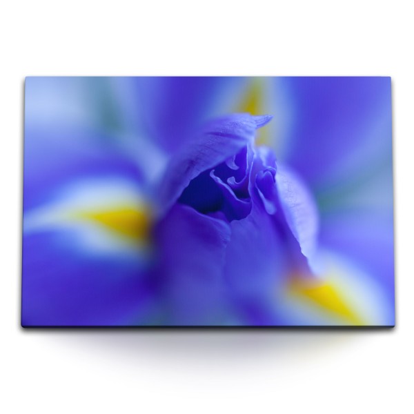 120x80cm Wandbild auf Leinwand Blaue Blume Blüte Makrofotografie Fotokunst