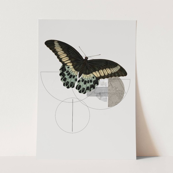 Wandbild exklusives Design Schmetterling Einzigartig Kunstvoll