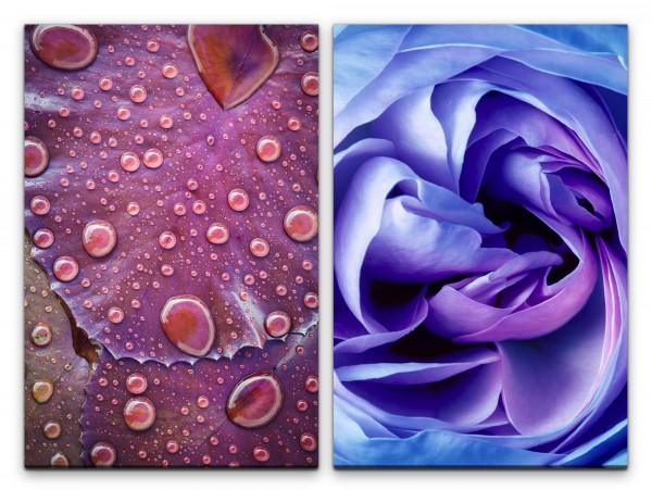 2 Bilder je 60x90cm Regentropfen Blüten Rose Seide Dekorativ Makrofotografie Feminin