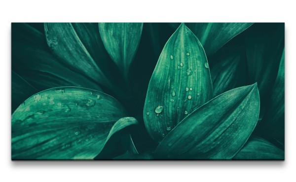 Leinwandbild 120x60cm Grüne Blätter Wassertropfen Fotokunst Dekorativ