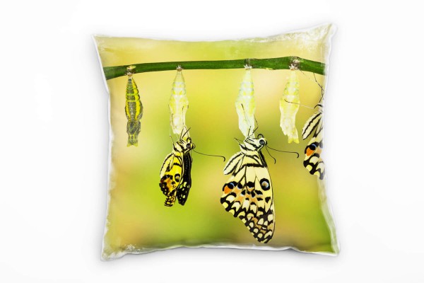 Tiere, Schmetterling, Entwicklung, grün, gelb Deko Kissen 40x40cm für Couch Sofa Lounge Zierkissen