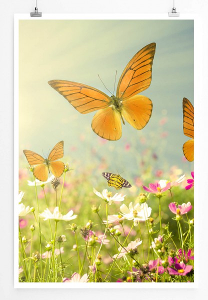 60x90cm Landschaftsfotografie Poster Schmetterlinge auf sonniger Sommerwiese