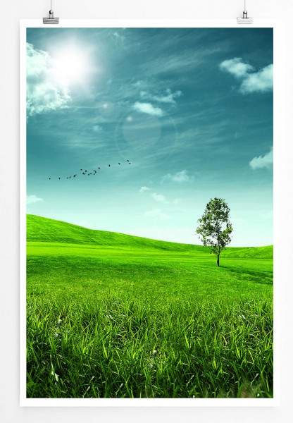60x90cm Landschaftsfotografie Poster Einsamer Baum auf grüner Wiese