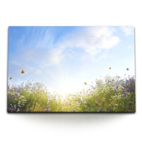120x80cm Wandbild auf Leinwand Sommerwiese Blumen Gewächs Schmetterlinge Sonnenschein