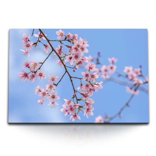 120x80cm Wandbild auf Leinwand Baumblüten Frühling blauer Himmel Sonnenschein