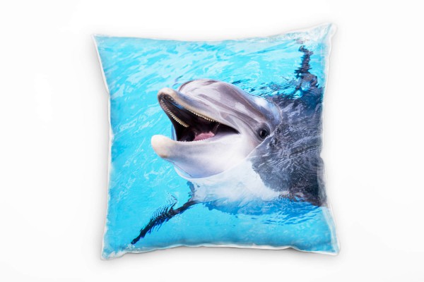 Tiere, Delfin, Wasser, grau, blau Deko Kissen 40x40cm für Couch Sofa Lounge Zierkissen