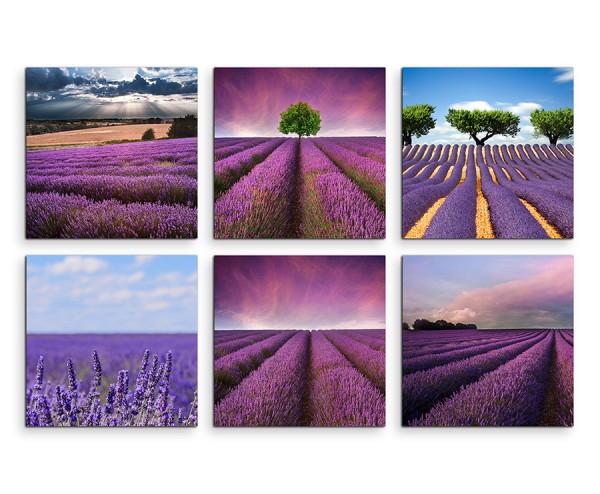 6 teiliges Leinwandbild je 30x30cm - Lavendelfeld Blumen Violett