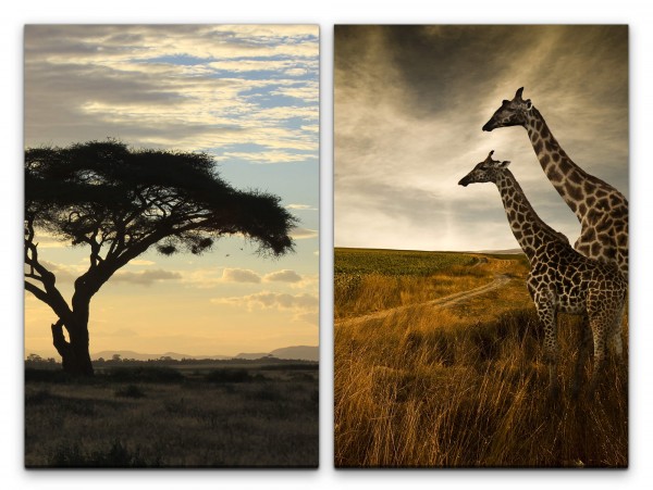 2 Bilder je 60x90cm Afrika Giraffen Pärchen Burkea Africana Natur Wildnis Safari