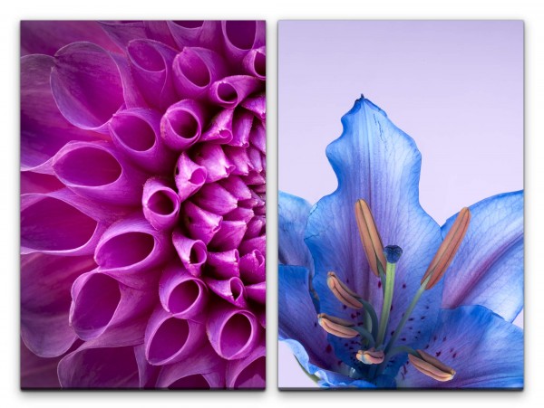2 Bilder je 60x90cm Dahlie Blume Blüten Sommer Farbenfroh Fotokunst Makrofotografie