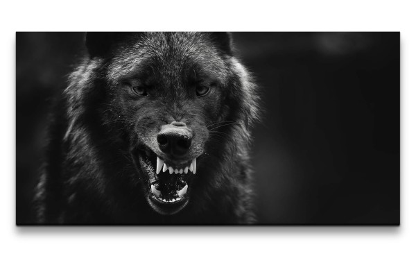 Leinwandbild 120x60cm Schwarzer Wolf Wild Wildnis Drohend Raubtier