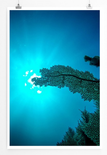 60x90cm Poster Künstlerische Fotografie  Sonne aus Taucherperspektive