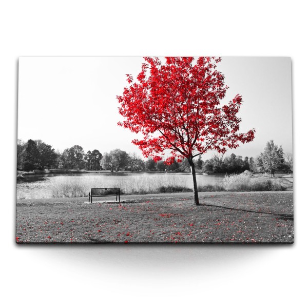 120x80cm Wandbild auf Leinwand Rote Herbstblätter Baum Schwarz Weiße See Bank