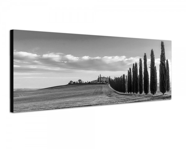 150x50cm Italien Toskana Landschaft Zypressen Wiesen
