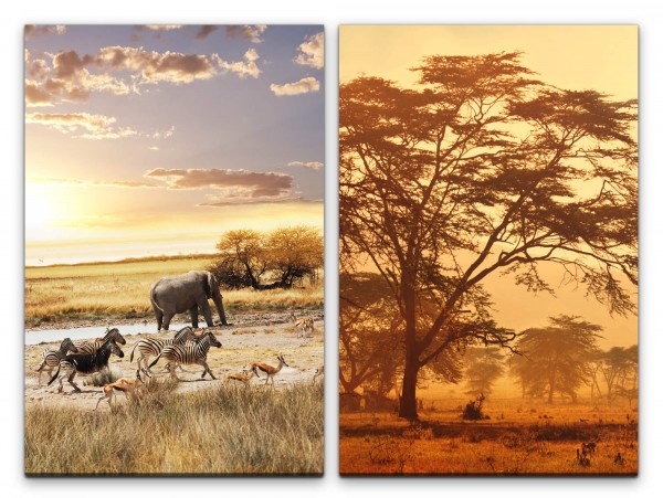 2 Bilder je 60x90cm Afrika wilde Tiere Elefant Zebras Antilopen Safari Burkea