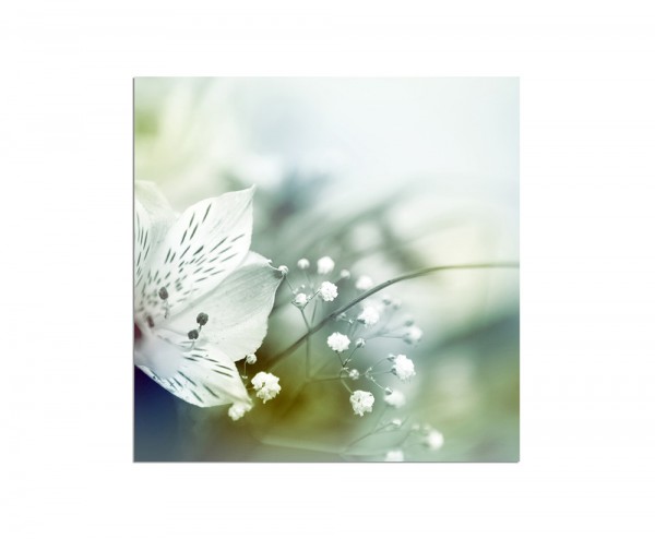 80x80cm Blume Blüte abstrakt Hintergrund