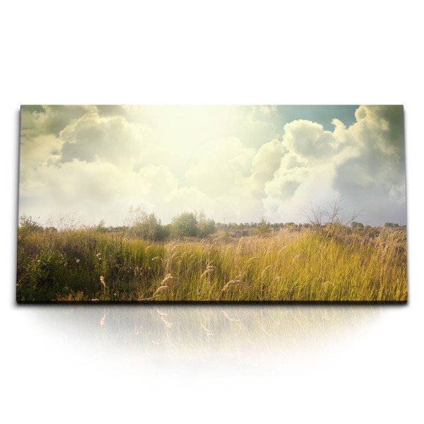 Kunstdruck Bilder 120x60cm Sommerwiese Wildwiese Natur Sonnenschein Wolken