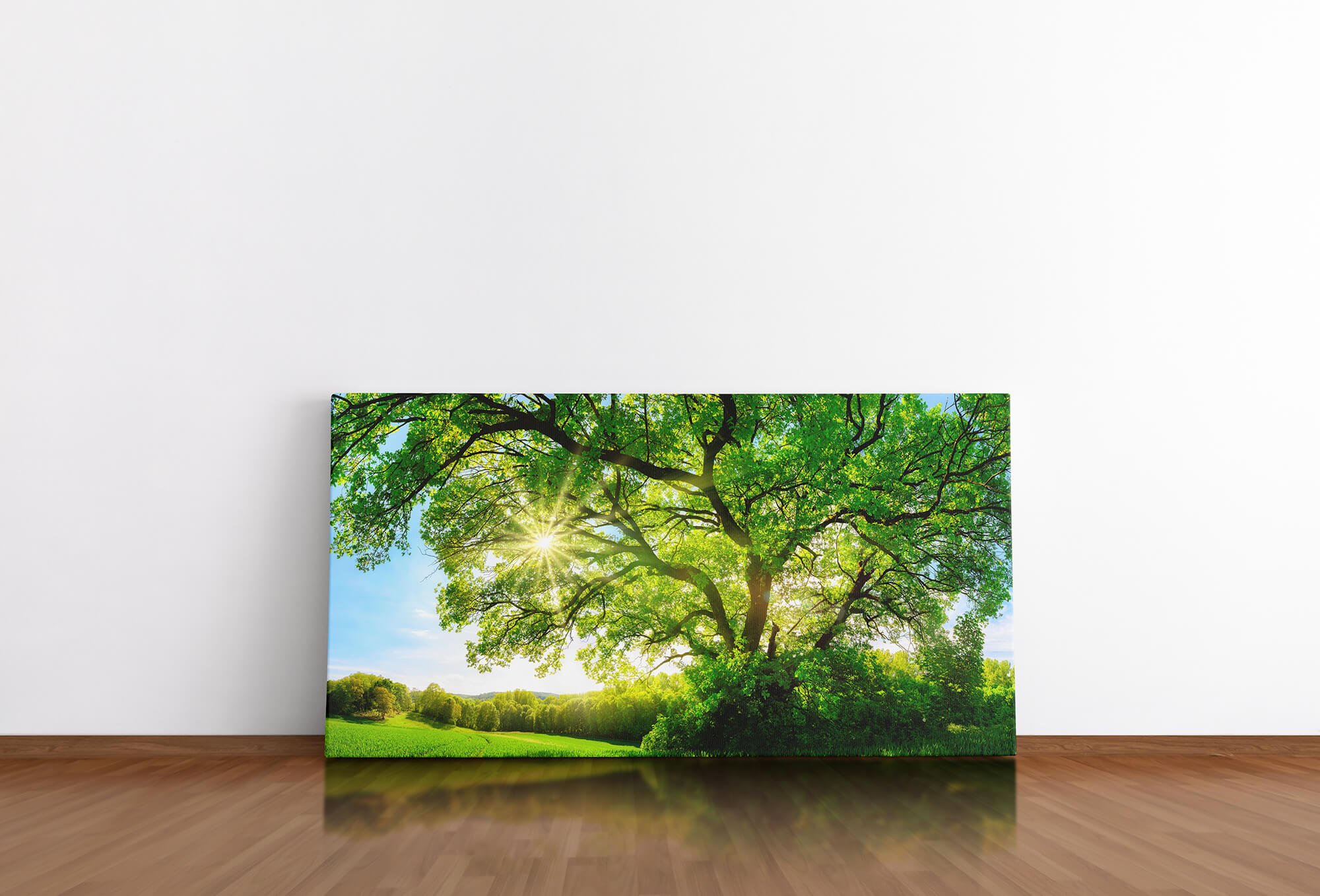 Leinwandbild 120x60cm Großer Baum Eiche Baumkrone Grün Natur Sonnenstrahlen  | Sinus Art GmbH - Einzigartige Designs, Geschenke , Wandbilder &  Wohnaccessoires zu fairen Preisen