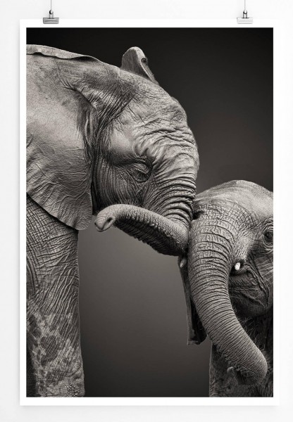 Tierfotografie  Elefantenmutter mit Baby