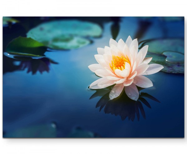 Wunderschöne Lotusblüte - Leinwandbild