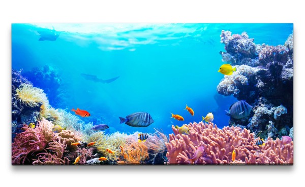 Leinwandbild 120x60cm Korallenriff Bunte Fische unter Wasser Tauchen Ozean Hai