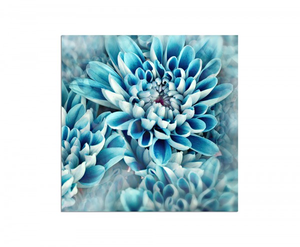 80x80cm Blume blühen blau abstrakt