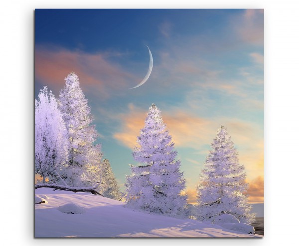Landschaftsfotografie  Baumgruppe im Schnee mit Mond auf Leinwand exklusives Wandbild moderne Foto