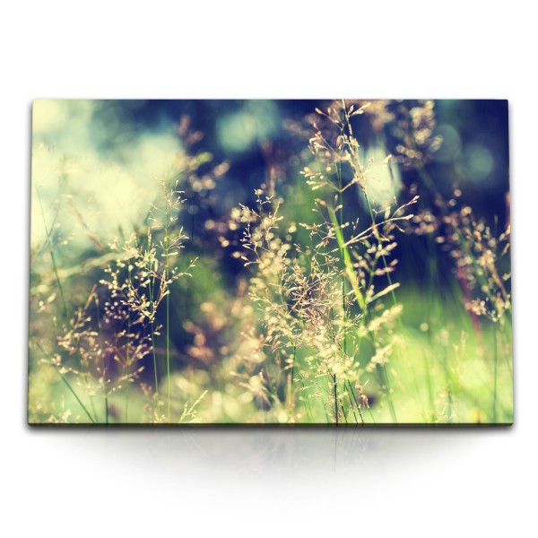 120x80cm Wandbild auf Leinwand Wildwiese Gras Halme Natur Sommer Sonnenschein