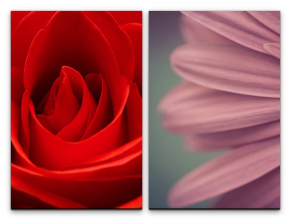 2 Bilder je 60x90cm Rose Blumen Sommer Sanft Zart Romantisch Feminin