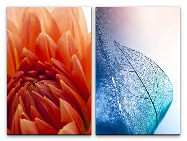 2 Bilder je 60x90cm Dahlie rote Blume Blaues Blatt Beruhigend Blattadern Fotokunst Nahaufnahme