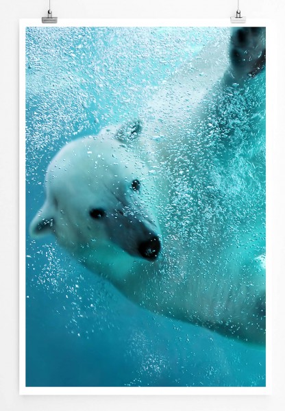 60x90cm Tierfotografie Poster Eisbär unter Wasser