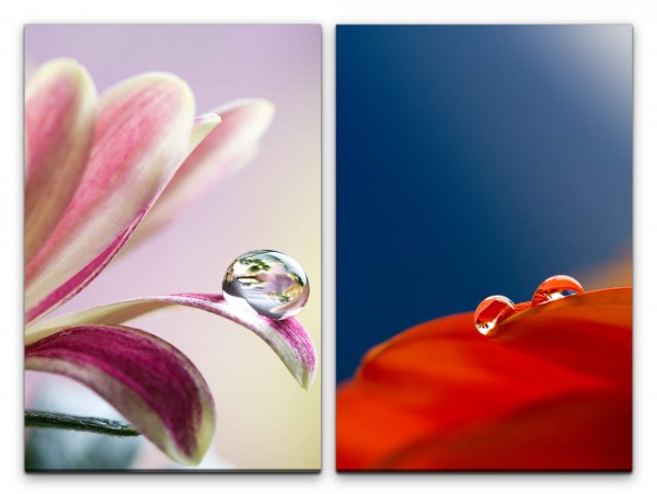 2 Bilder je 60x90cm Blumen Mohnblume Rot Tropfen Makro Blau Rosa