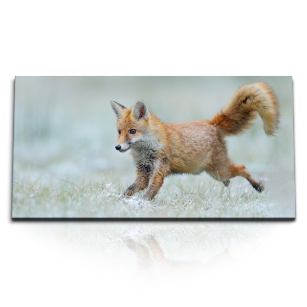 Kunstdruck Bilder 120x60cm Kleiner roter Fuchs Wiese Natur Tierfotografie