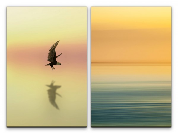 2 Bilder je 60x90cm Horizont Orange Weißkopfseeadler Adler Majestätisch Wasser Freiheit