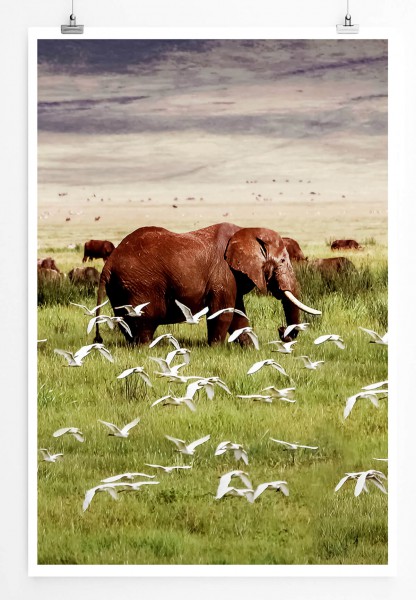 60x90cm Poster Tierfotografie  Afrikanischer Elefant im Vogelschwarm
