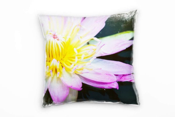 Blumen, gelb, rosa, Seerose Deko Kissen 40x40cm für Couch Sofa Lounge Zierkissen